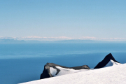 Island 2000 21