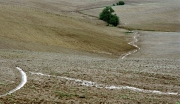 Italie 2004 04