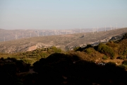 Kreta 2012 47