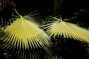 Maroko 2013 32