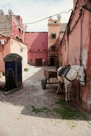 Maroko 2013 38