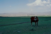 Mongolsko 1997 32