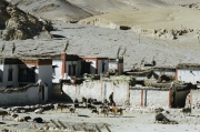 Tibet 2005 04