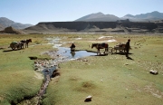 Tibet 2005 45