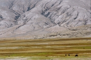 Tibet 2005 52