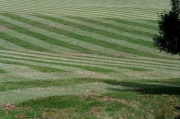 Wales 2006 07