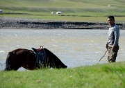 mongolsko 2018-08-19 0930 2263u (1)